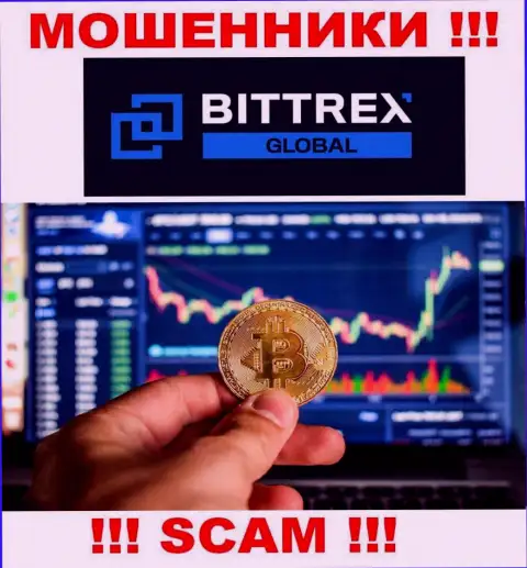 Опасно сотрудничать с internet мошенниками Bittrex Com, направление деятельности которых Торговля виртуальными деньгами
