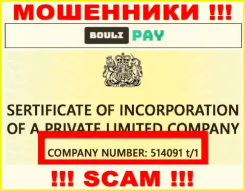 Номер регистрации Bouli Pay может быть и липовый - 514091 t/1