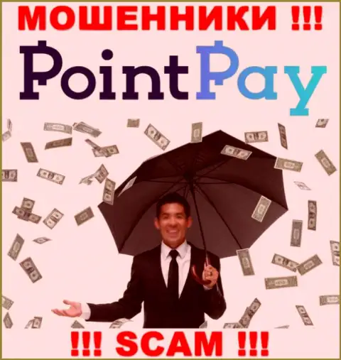 Не попадитесь в капкан internet-мошенников PointPay, денежные вложения не вернете назад