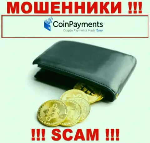 Будьте очень осторожны, вид деятельности Coin Payments, Криптовалютный кошелек - это обман !
