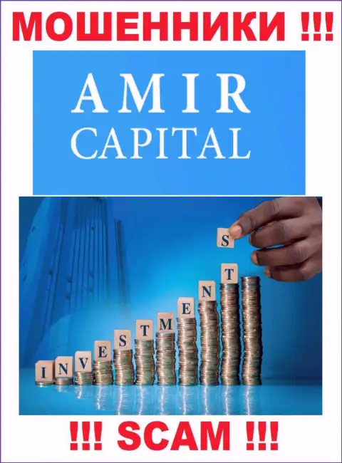 Не вводите денежные активы в Амир Капитал Групп ОЮ, тип деятельности которых - Инвестирование