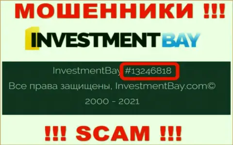 Номер регистрации, под которым зарегистрирована контора InvestmentBay: 13246818