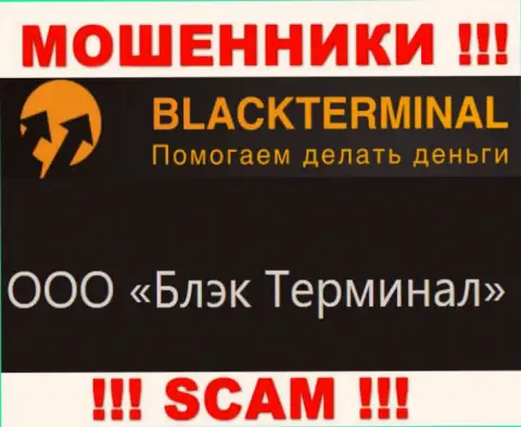На официальном информационном портале Black Terminal написано, что юридическое лицо компании - ООО Блэк Терминал