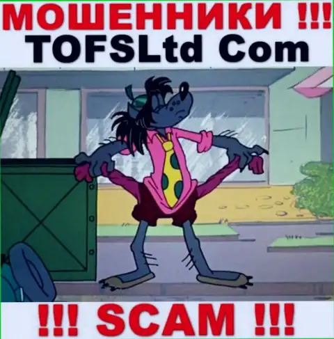 Абсолютно все, что услышите из уст интернет-мошенников TOFSLtd Com - это сплошная ложная информация, будьте осторожны