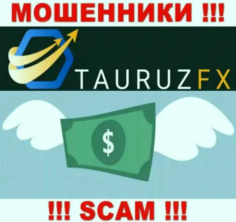 Дилинговая компания TauruzFX работает лишь на ввод вложенных денежных средств, с ними Вы ничего не сможете заработать