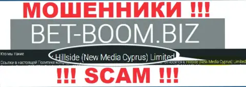 Юридическим лицом, владеющим internet-разводилами Hillside (New Media Cyprus) Limited, является Хиллсиде (Нью Медиа Кипр) Лтд