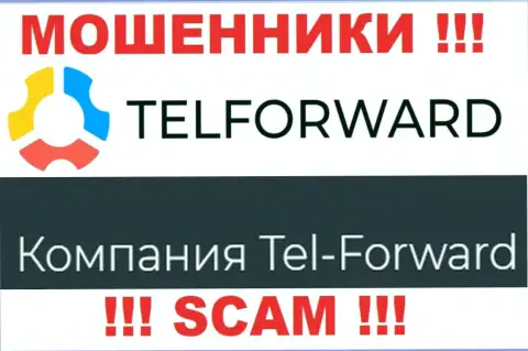 Юридическое лицо Тел Форвард - это Tel-Forward, такую информацию предоставили мошенники у себя на интернет-портале