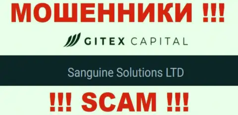 Юридическое лицо Gitex Capital - Сангин Солютионс ЛТД, такую инфу представили мошенники на своем веб-сервисе