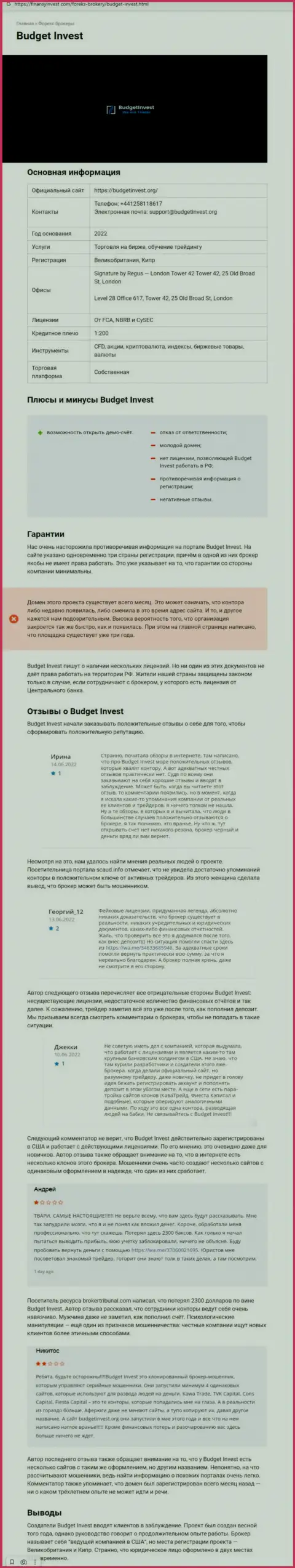 Обзор махинаций скам-проекта BudgetInvest - это МОШЕННИКИ !!!