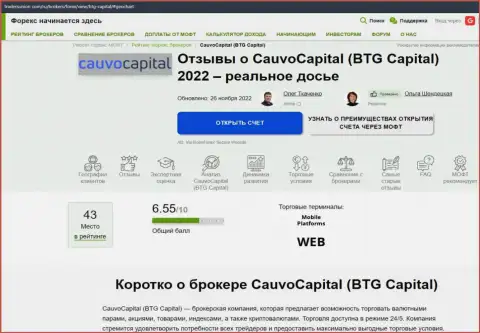 Анализ деятельности компании Cauvo Capital в статье на сайте трейдерсюнион ком