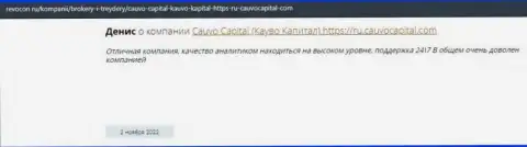 Дилинговая компания Cauvo Capital описана в объективном отзыве на ресурсе revocon ru